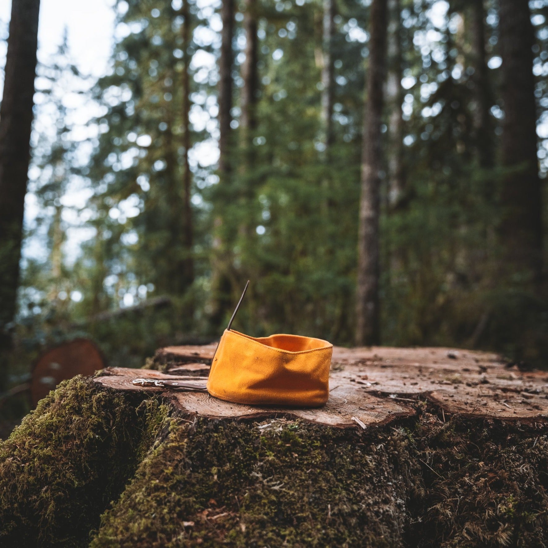 waxed canvas travel bowl | 5 colors