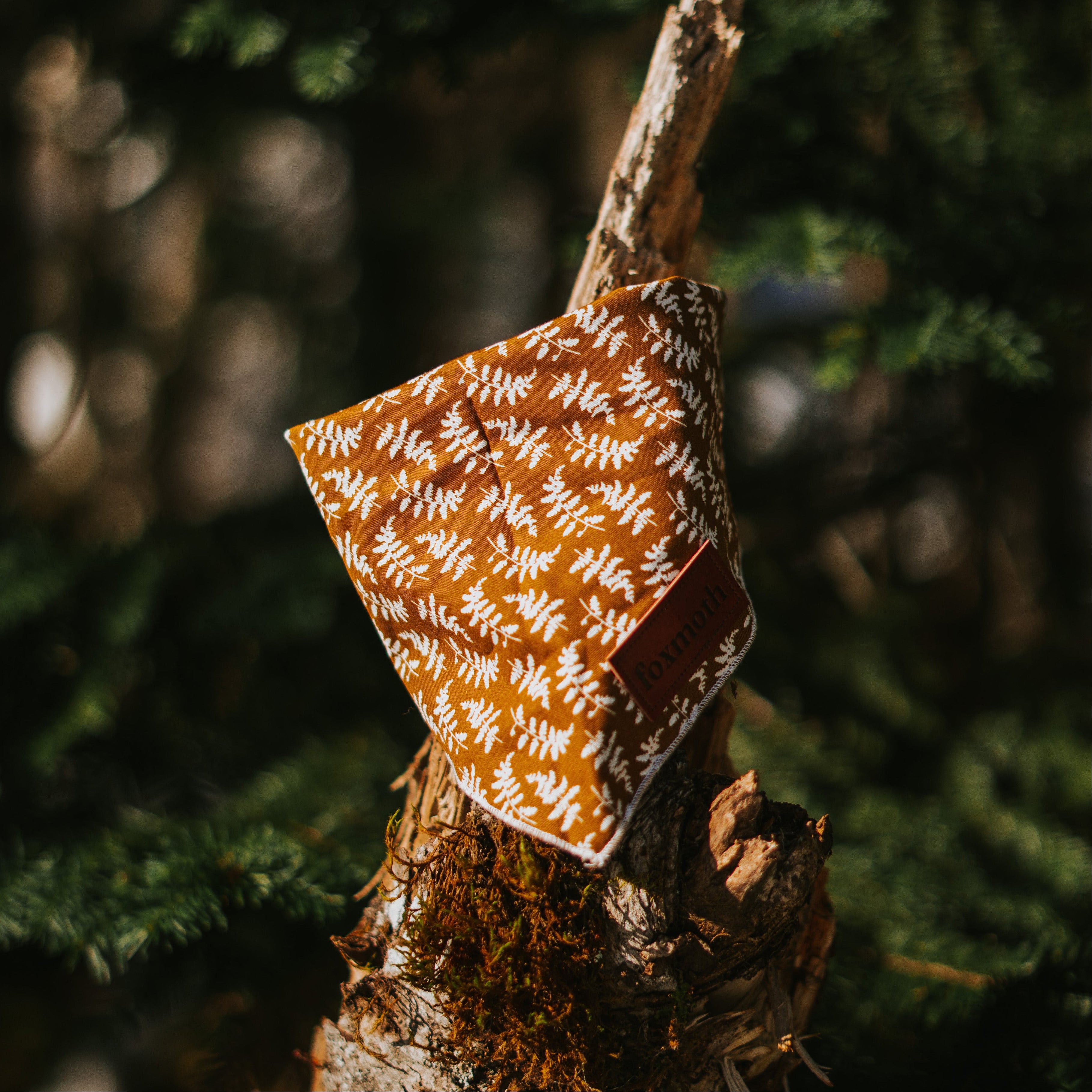 ferns bandana - FoxMoth - Bandana