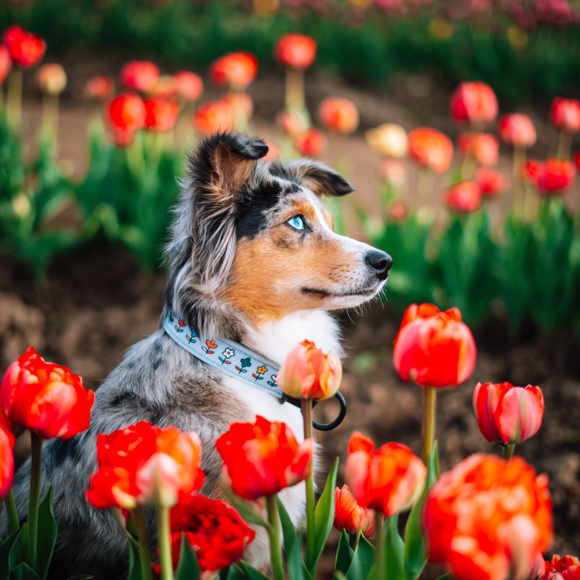 retro floral