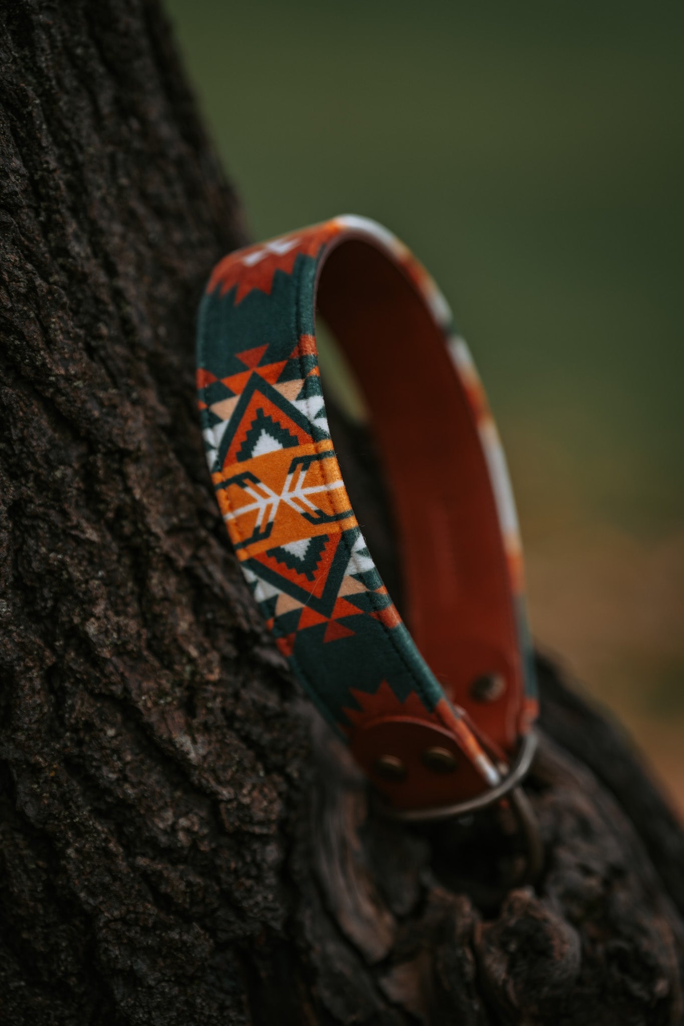 sequoia