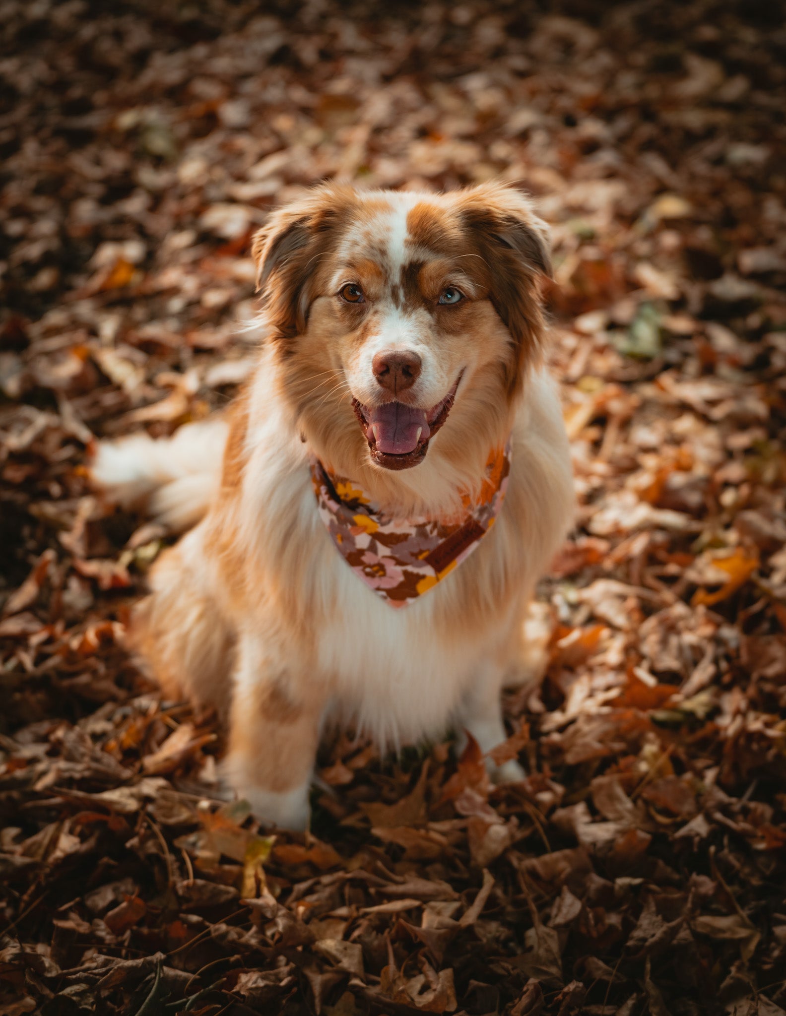 fall floral