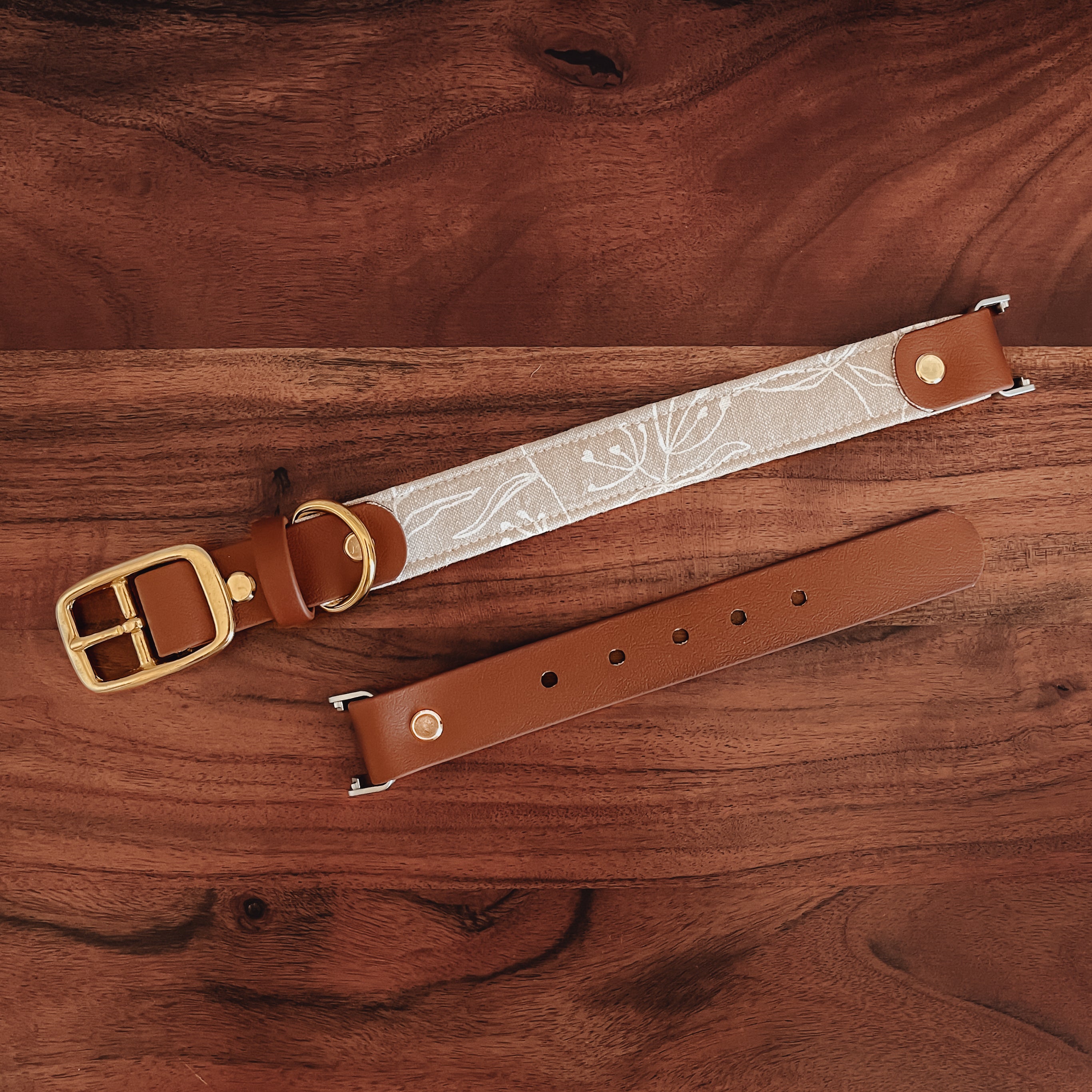 custom fabric buckle collar - fi compatible