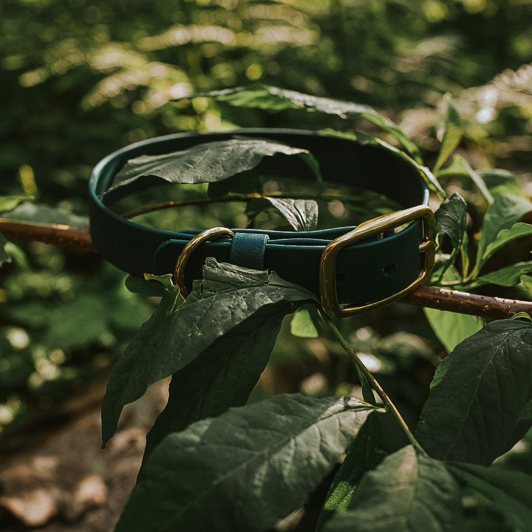 custom waterproof collar