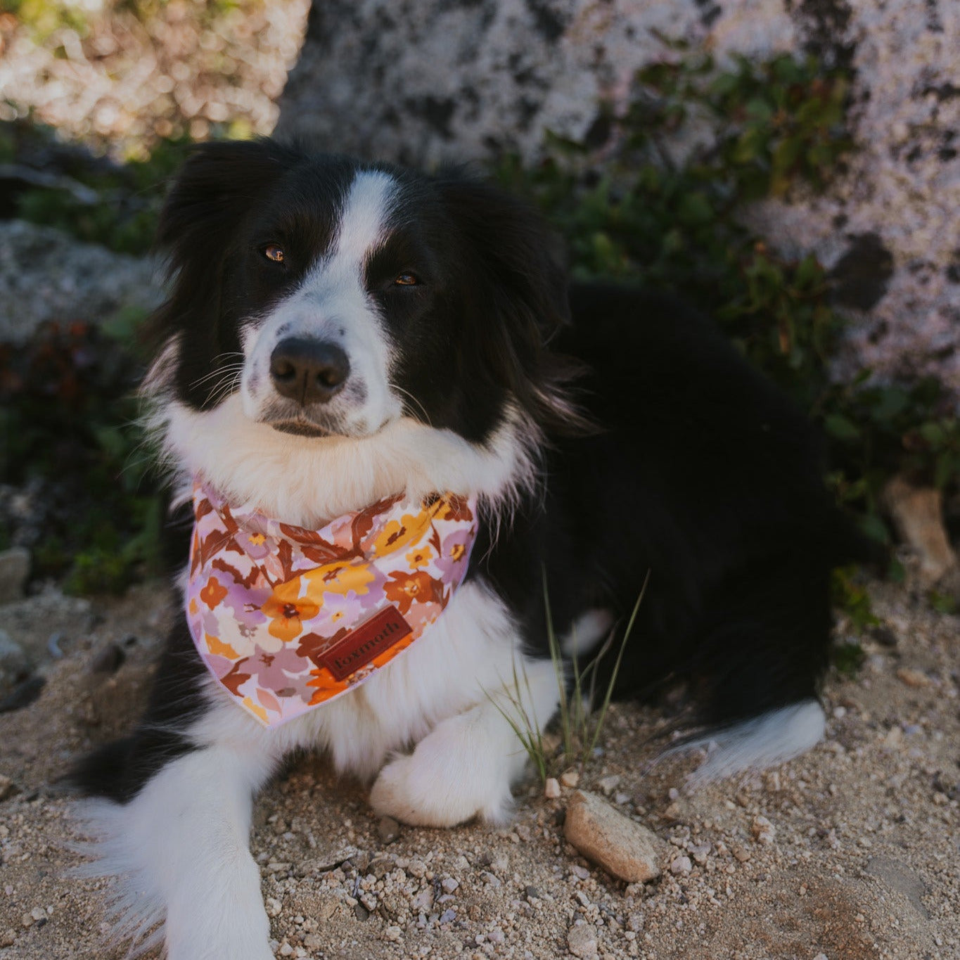 fall floral