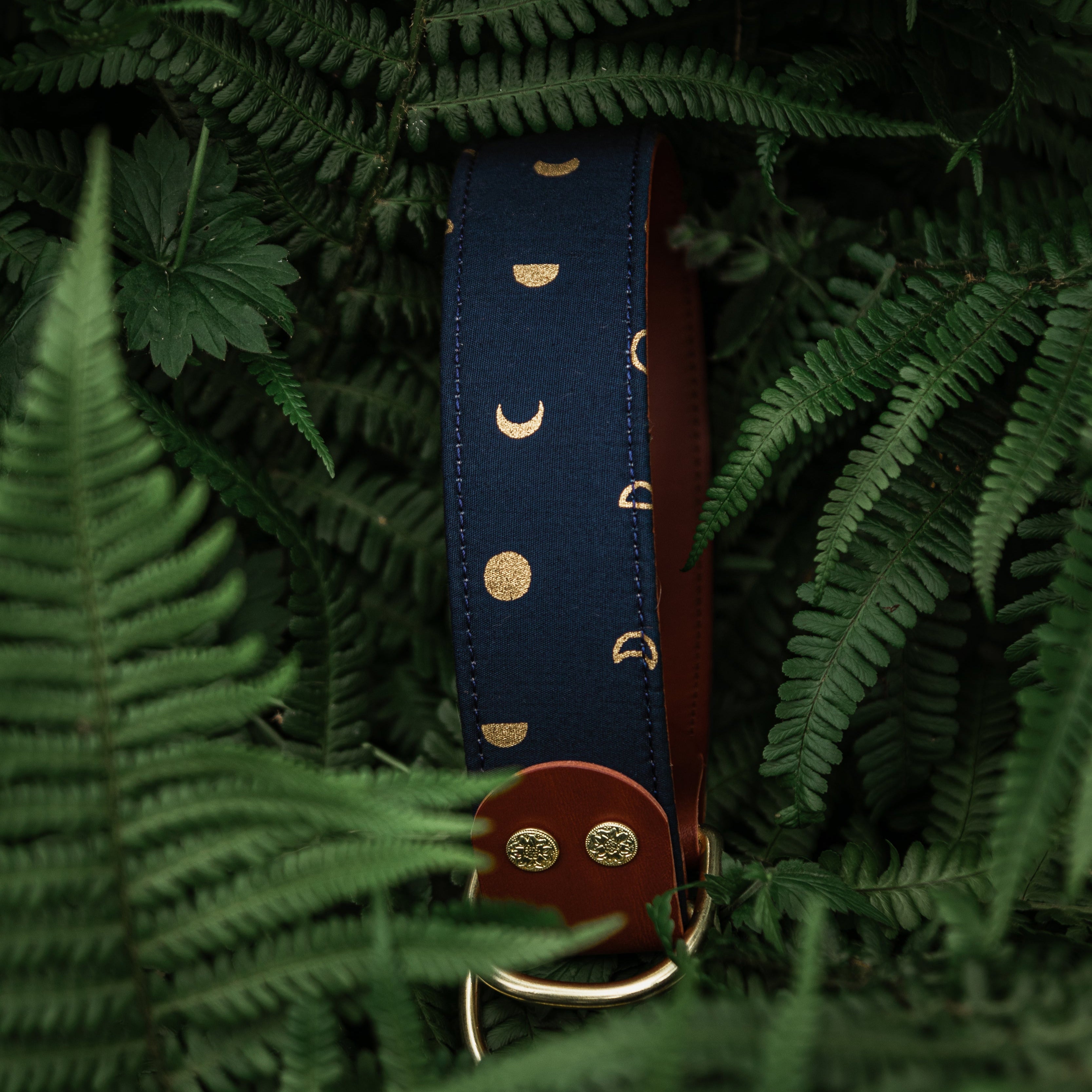navy moons