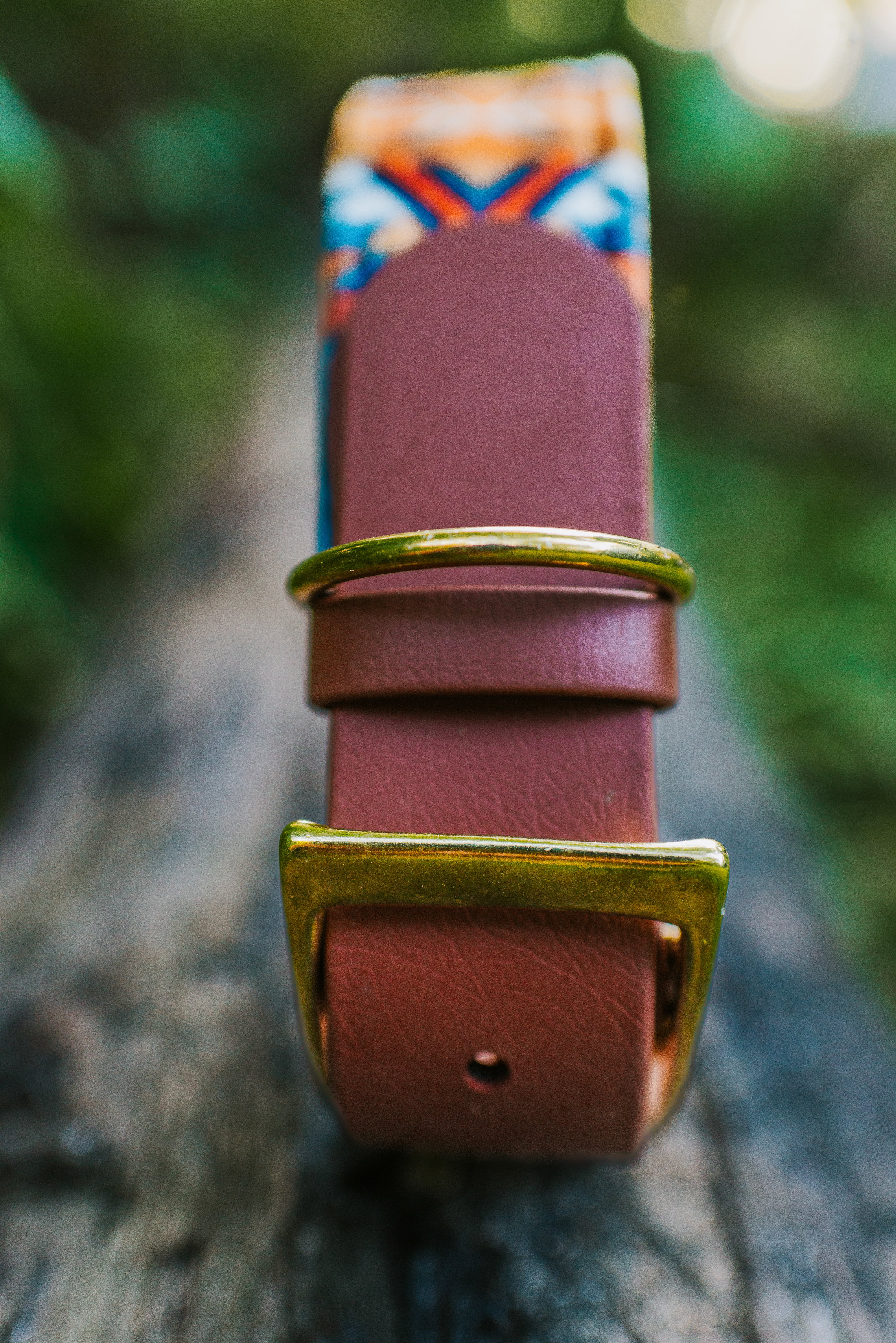 custom fabric buckle collar