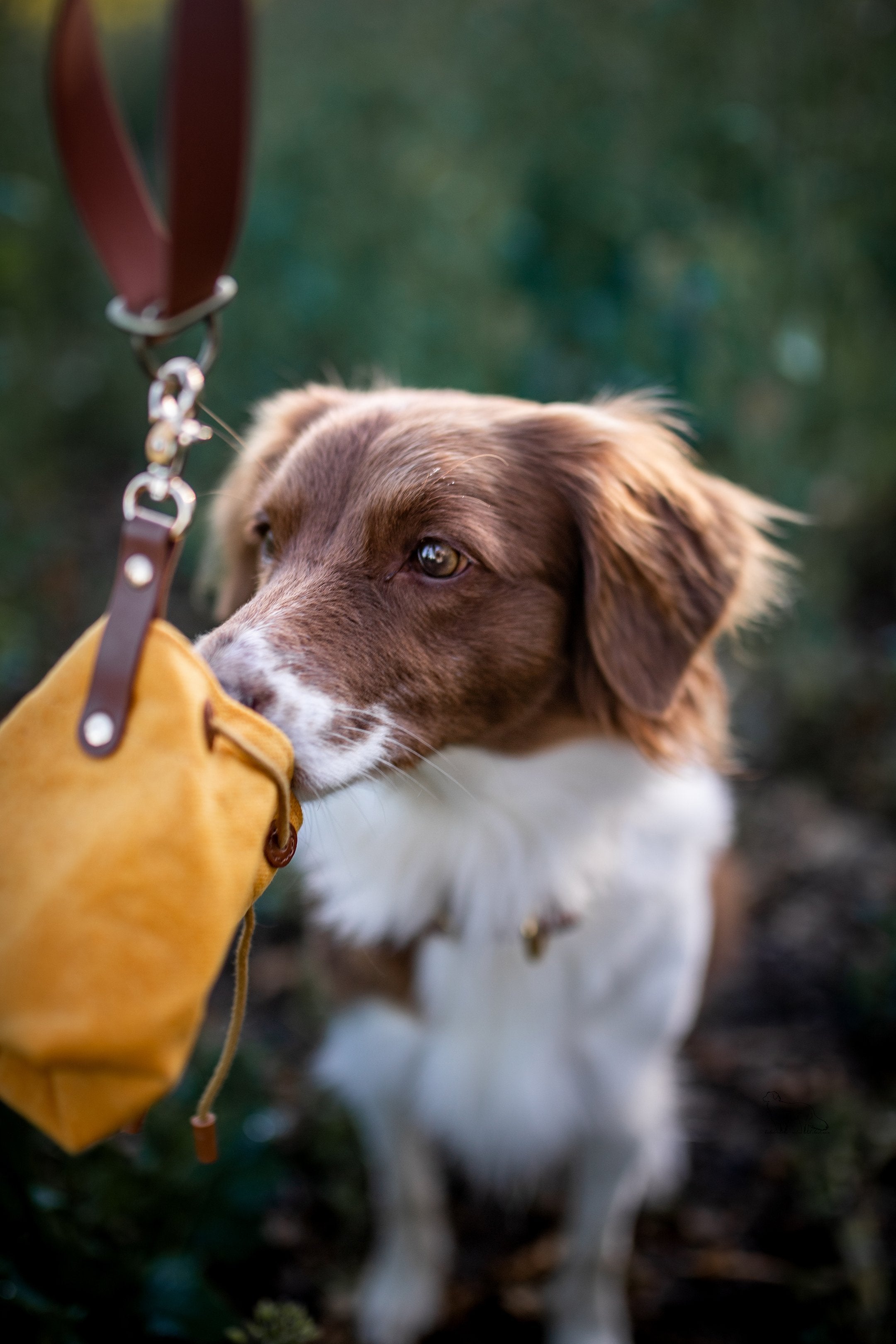 waxed canvas travel bowl | 5 colors