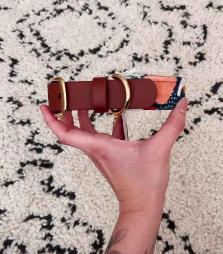 Load video: custom fabric buckle collar