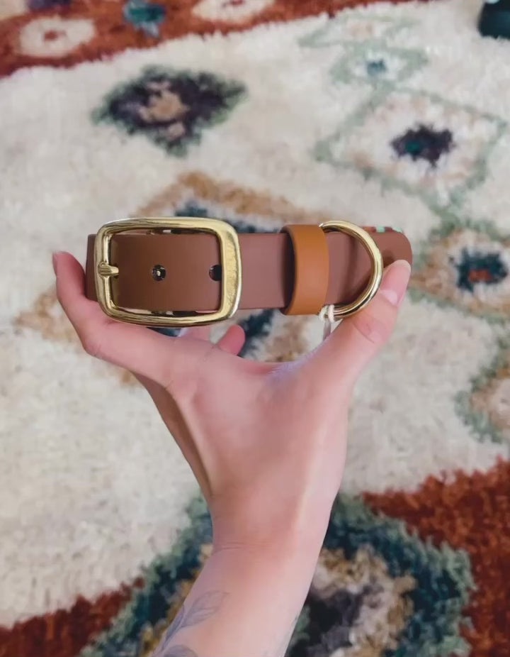 Load video: custom fabric buckle collar